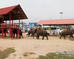 Деревня слонов поездка Тайланд Seven Countries - фото 88