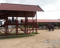 Деревня слонов поездка Тайланд Seven Countries - фото 93