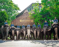 Деревня слонов поездка Тайланд - фото 15