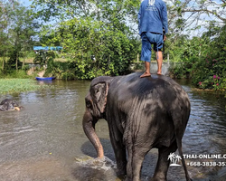Деревня слонов поездка Тайланд фото Thai-Online 23