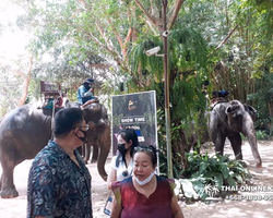 Деревня слонов поездка Тайланд фото Thai-Online 37