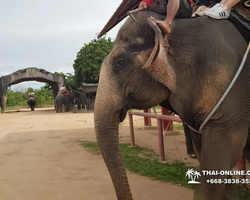 Деревня слонов поездка Тайланд Seven Countries - фото 87