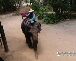 Деревня слонов поездка Тайланд Seven Countries - фото 92