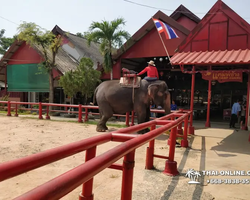 Деревня слонов поездка Тайланд фото Thai-Online 7