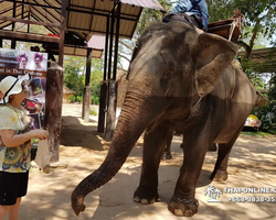 Деревня слонов поездка Тайланд фото Thai-Online 28
