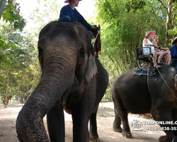 Деревня слонов поездка Тайланд фото Thai-Online 33