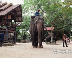 Деревня слонов поездка Тайланд фото Thai-Online 3