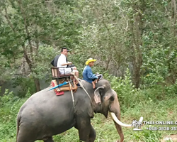 Деревня слонов поездка Тайланд фото Thai-Online 41