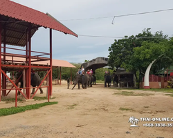 Деревня слонов поездка Тайланд Seven Countries - фото 74