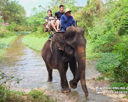 Деревня слонов поездка Тайланд фото Thai-Online 13