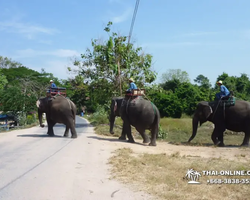 Деревня слонов поездка Тайланд Seven Countries - фото 96
