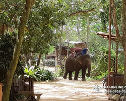 Деревня слонов поездка Тайланд фото Thai-Online 16