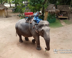 Деревня слонов поездка Тайланд Seven Countries - фото 67
