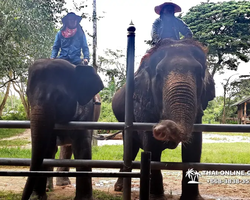 Деревня слонов поездка Тайланд фото Thai-Online 32