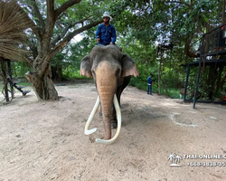 Деревня слонов поездка Тайланд фото Thai-Online 10