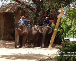 Деревня слонов поездка Тайланд Seven Countries - фото 68
