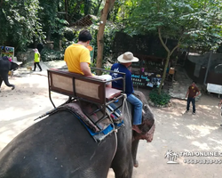 Деревня слонов поездка Тайланд Seven Countries - фото 60