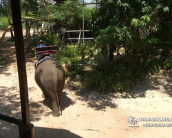 Деревня слонов поездка Тайланд фото Thai-Online 42