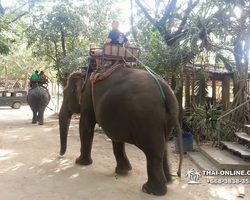 Деревня слонов поездка Тайланд Seven Countries - фото 78