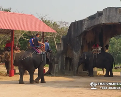 Деревня слонов поездка Тайланд фото Thai-Online 9