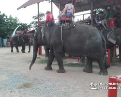 Деревня слонов поездка Тайланд Seven Countries - фото 89