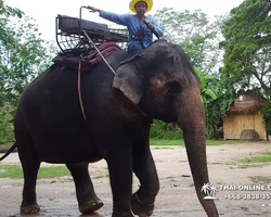 Деревня слонов поездка Тайланд Seven Countries - фото 54