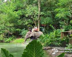 Деревня слонов поездка Тайланд фото Thai-Online 20