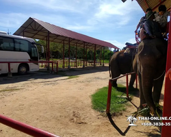 Деревня слонов поездка Тайланд Seven Countries - фото 69