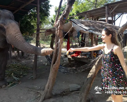 Деревня слонов поездка Тайланд Seven Countries - фото 63