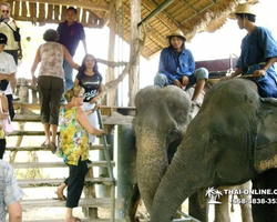 Деревня слонов поездка Тайланд Seven Countries - фото 77