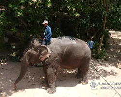 Деревня слонов поездка Тайланд Seven Countries - фото 80