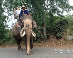 Деревня слонов поездка Тайланд фото Thai-Online 46