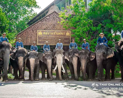 Деревня слонов поездка Тайланд фото Thai-Online 27