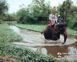 Деревня слонов поездка Тайланд фото Thai-Online 12