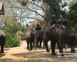 Деревня слонов поездка Тайланд фото Thai-Online 39
