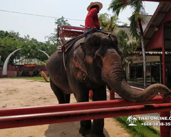 Деревня слонов поездка Тайланд Seven Countries - фото 90