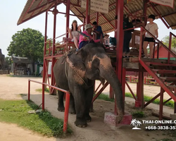 Деревня слонов поездка Тайланд Seven Countries - фото 73