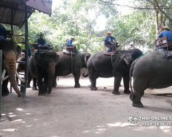 Деревня слонов поездка Тайланд фото Thai-Online 8