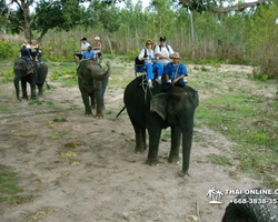 Деревня слонов поездка Тайланд Seven Countries - фото 53