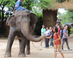 Деревня слонов поездка Тайланд Seven Countries - фото 91
