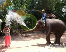 Деревня слонов поездка Тайланд Seven Countries - фото 83