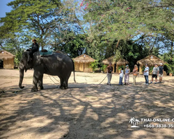 Деревня слонов поездка Тайланд фото Thai-Online 2