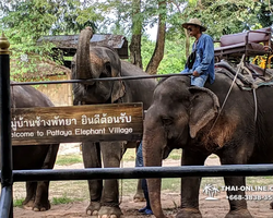 Деревня слонов поездка Тайланд фото Thai-Online 38