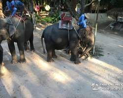 Деревня слонов поездка Тайланд Seven Countries - фото 70