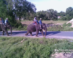 Деревня слонов поездка Тайланд Seven Countries - фото 62