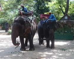 Деревня слонов поездка Тайланд фото Thai-Online 44