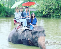 Деревня слонов поездка Тайланд Seven Countries - фото 58