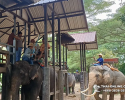 Деревня слонов поездка Тайланд Seven Countries - фото 49