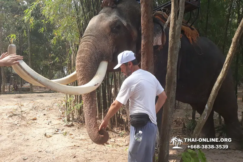 Деревня слонов поездка Тайланд Seven Countries - фото 66
