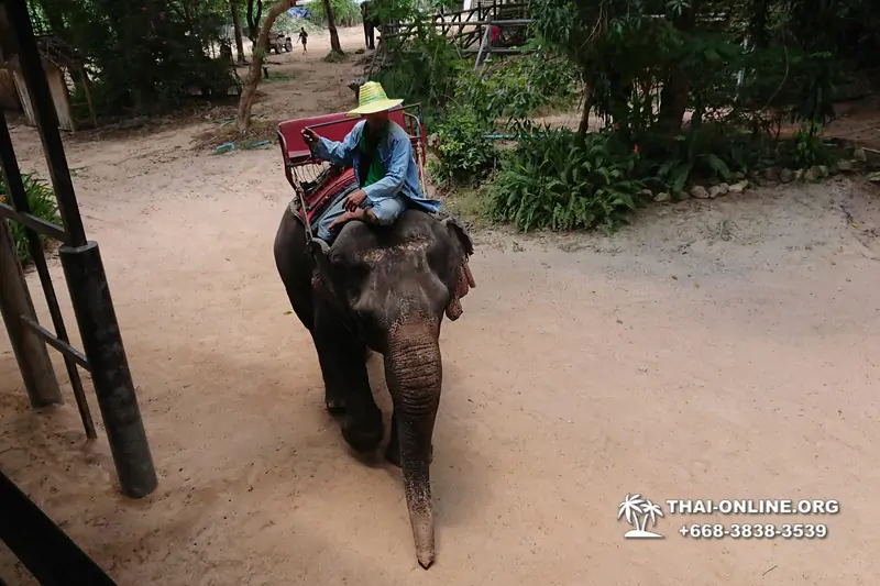 Деревня слонов поездка Тайланд Seven Countries - фото 92